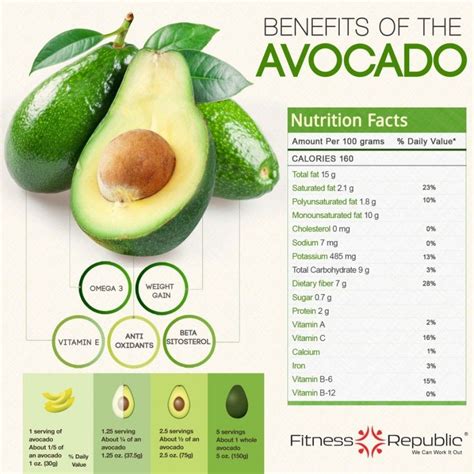 avocado nutrition facts omega 3|avocado oil omega 3 content.